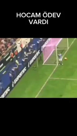 hocam ödev vardıya