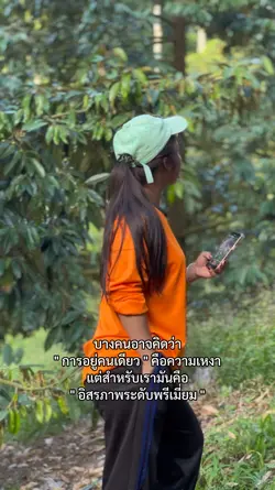 ฟีด
