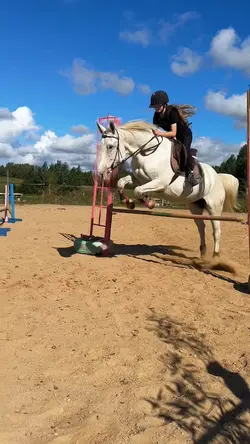 help my stirrup 😭