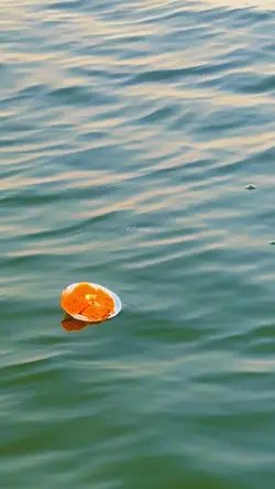 ธรรมทาน