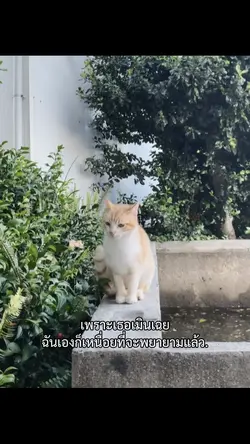 ฉันเองก็เหนื่อย