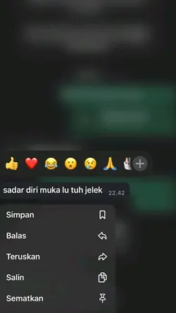 sadar diri muka lu
