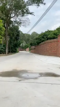 funny laugh