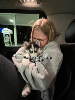 i'm scared of ur dad