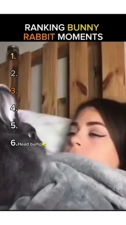 tiktok viral