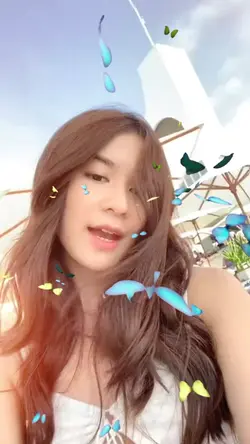 Butterfly trend slow