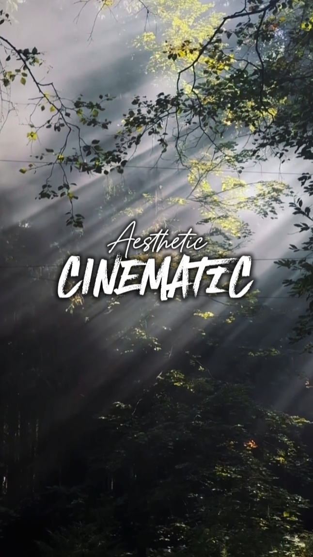 5 Clips Cinematic