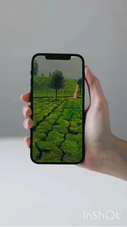Nature 