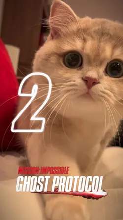 mission impossible🐱