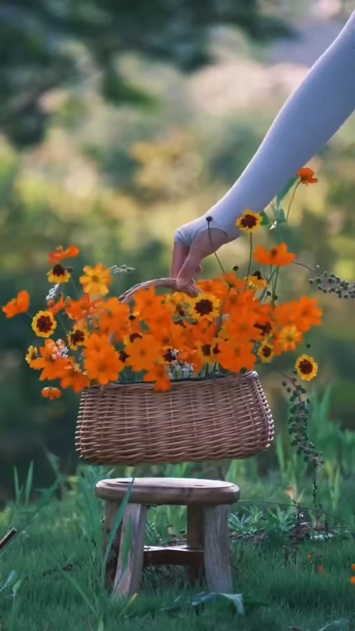 Nature vibes