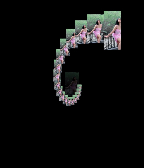 new edit
