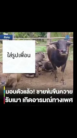 ข่าวดัง😂
