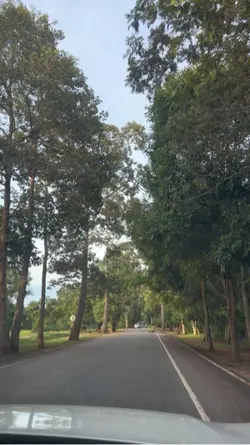 Scenery