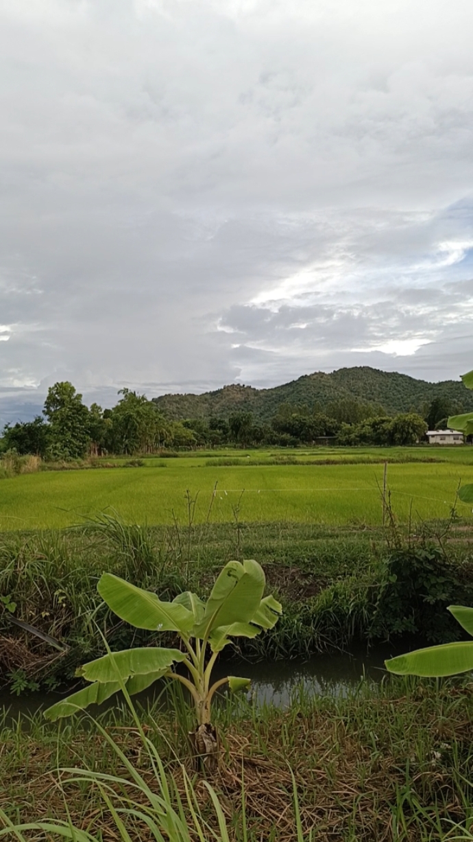 วิวสวยจัง