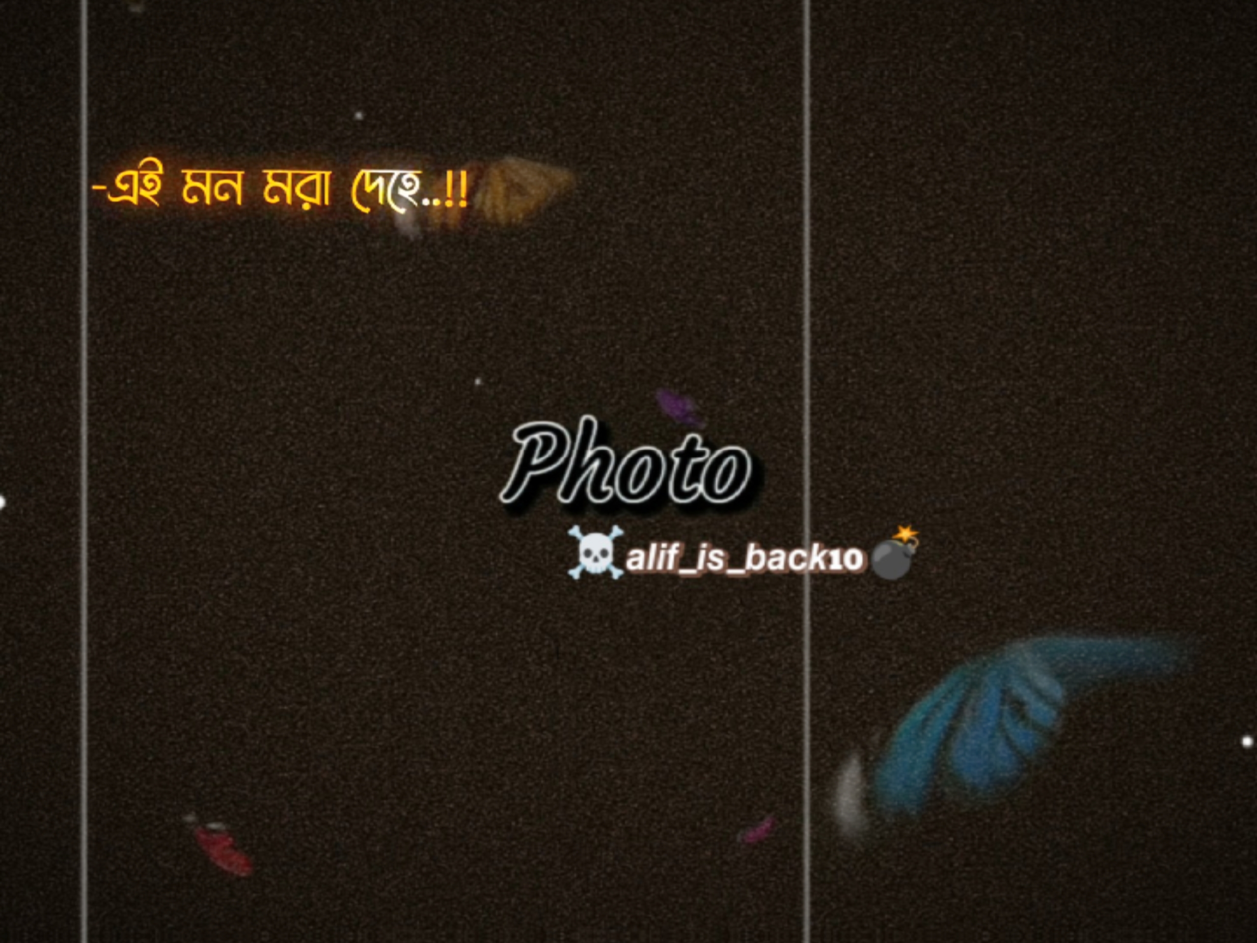 Cover Picture