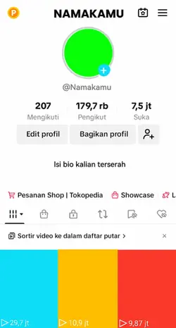 Profil tiktok fake2