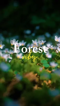 Forest vibes