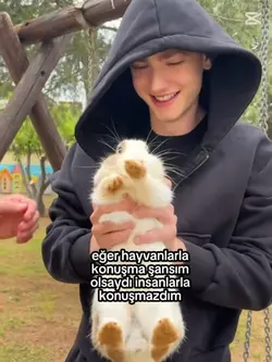 Hayvanlar