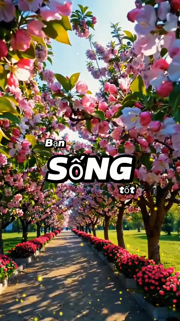 i lm thị phi...