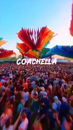 Coachella Festival