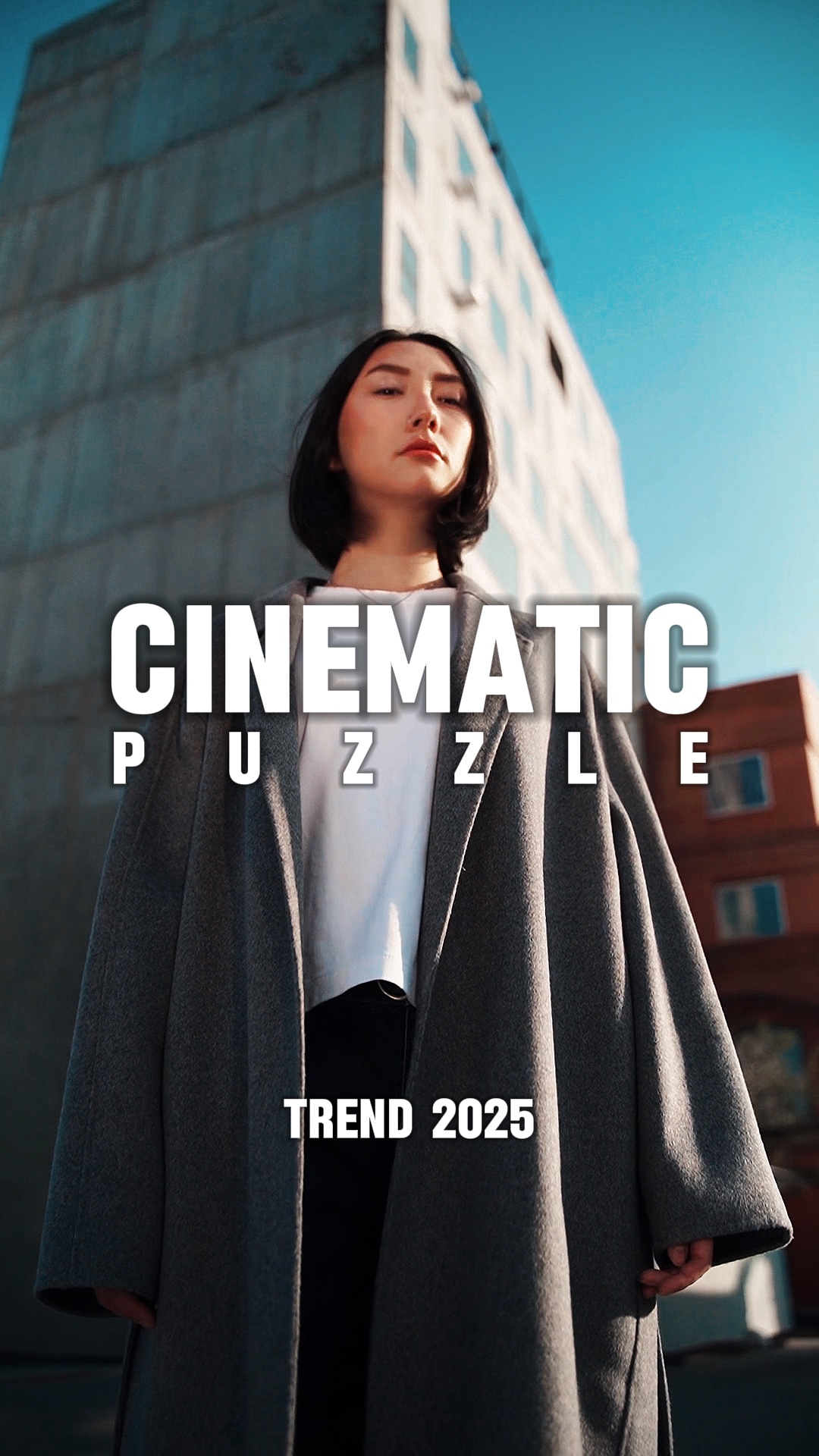 CINEMATIC PUZZLE