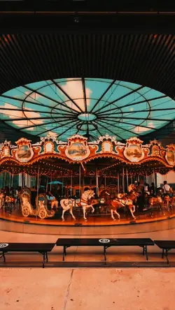 CAROUSEL IN BROOKLYN