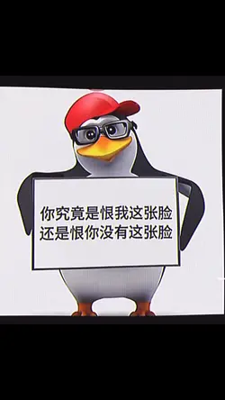 你究竟是恨我這張臉 還是恨你沒有這張臉