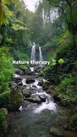 Nature therapy 