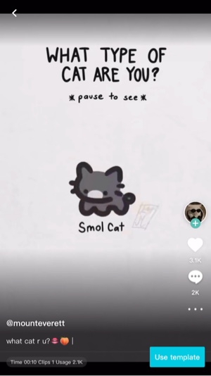 cool cat, you?