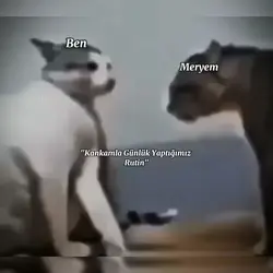 Günlük Rutinimiz :D