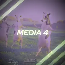 Vache edit