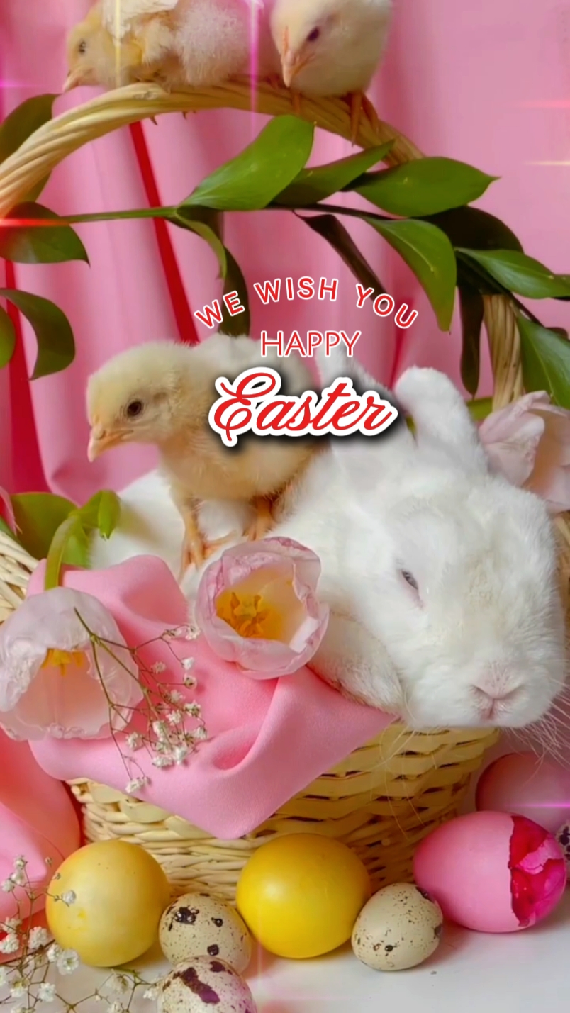 Frohe Ostern