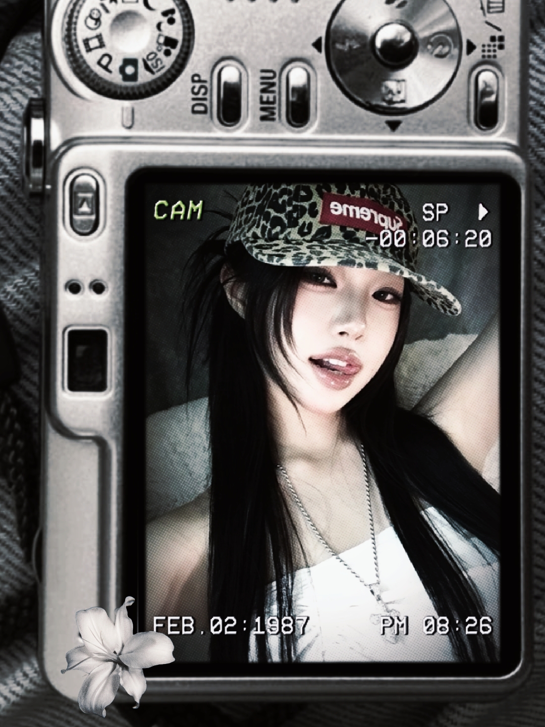 Cover Picture