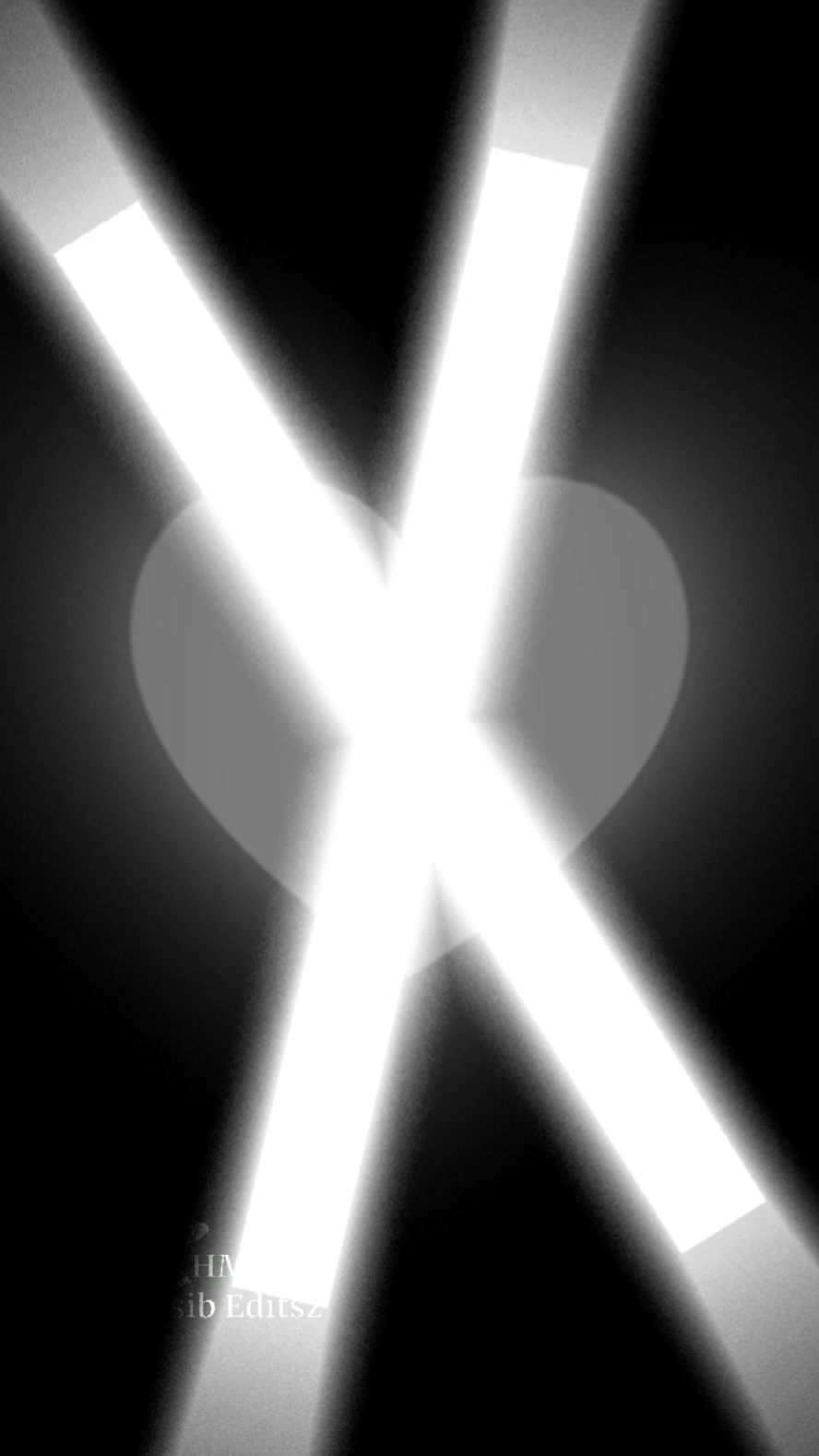 দেখে গা রাজা টেইলার