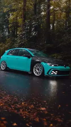 VW EDIT TEMPLATE 