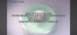 슬라임 나눔