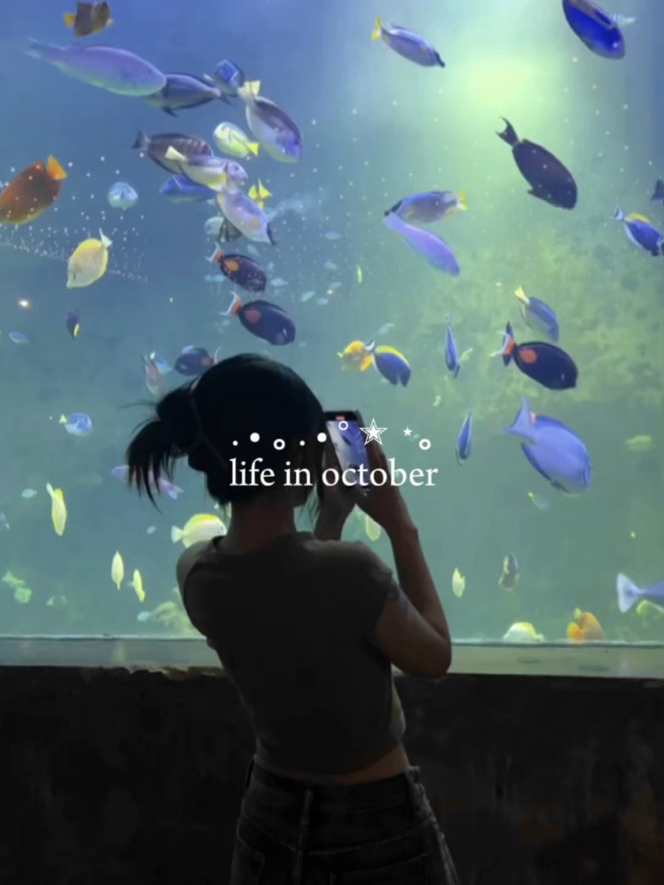 vie en octobre