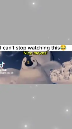 Nice Moves