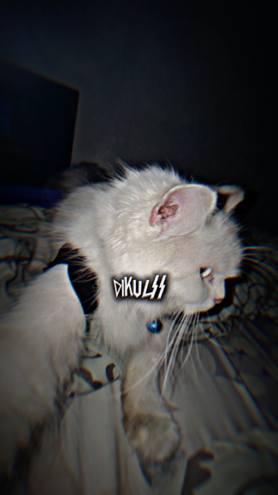 djnya kane nih