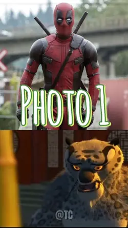 Kungfu panda