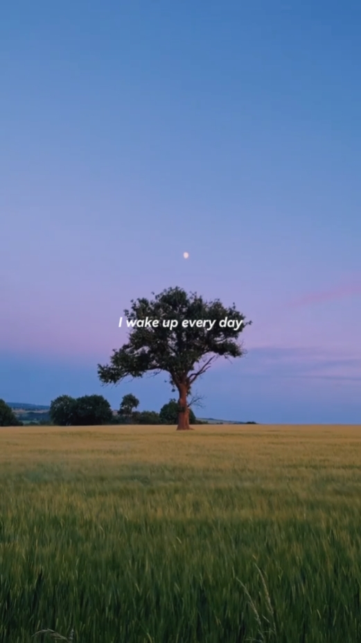 lyrics aesthetic 