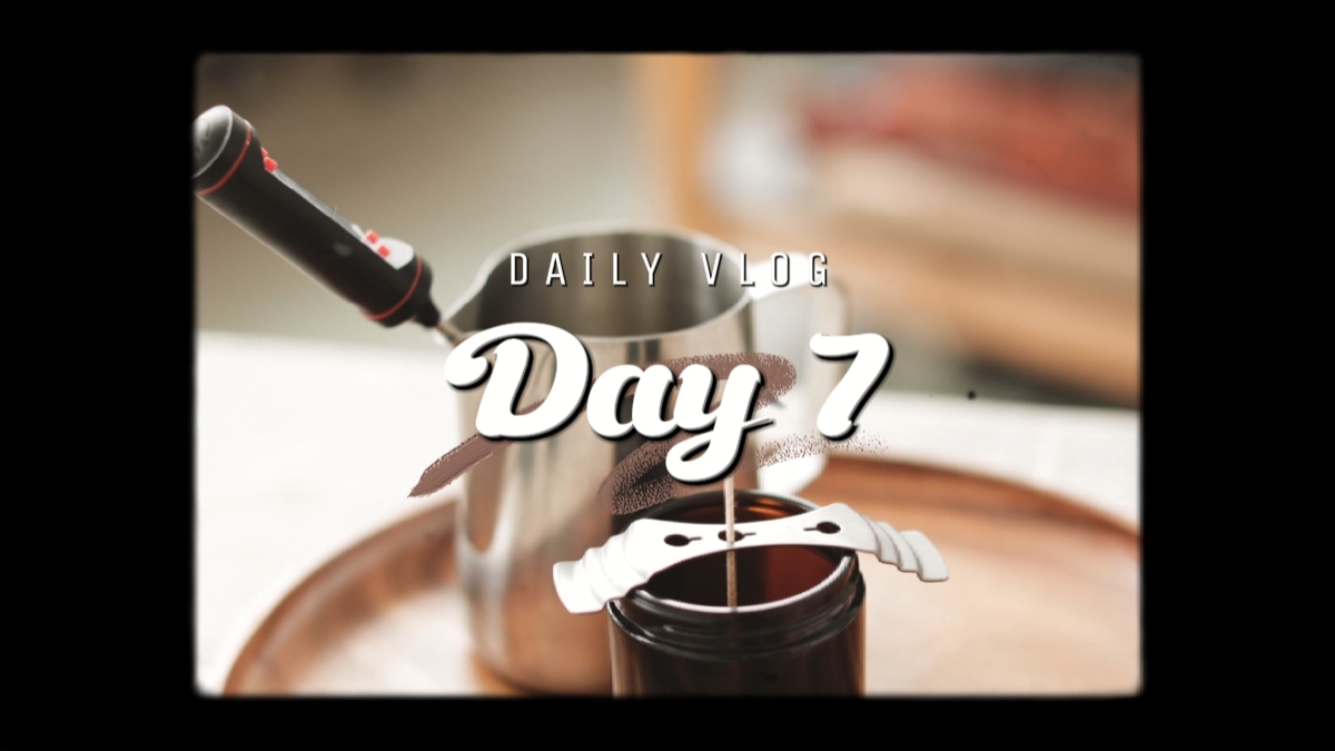 Introdução dayli