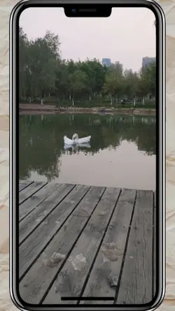 frame video 50 detik