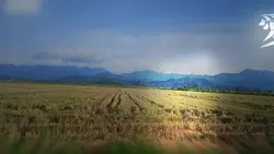 BALETE MARIA AURORA