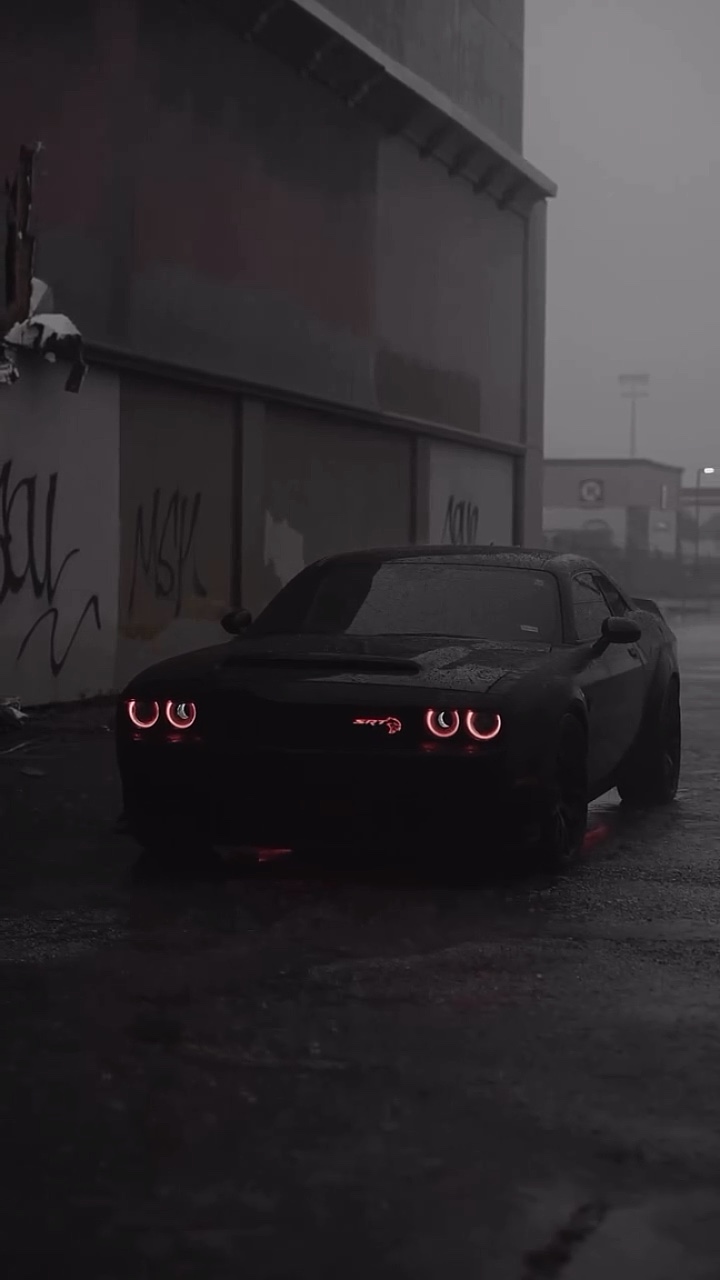 CAR🕸️ 1CLIP🕷️