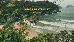 HEART BEATS FAST