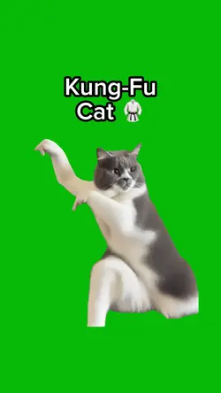 Kung-Fu Cat 