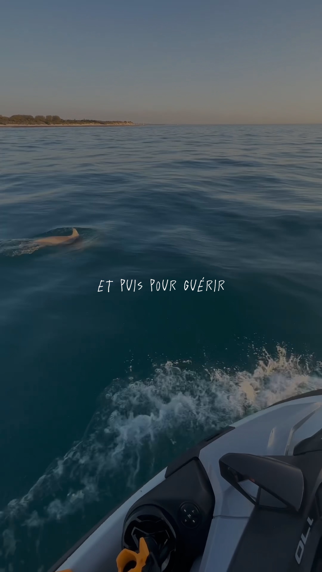 puis pour guerir 