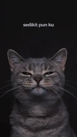 Jomblo happy dangdut