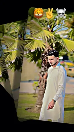 Trending Template❤️